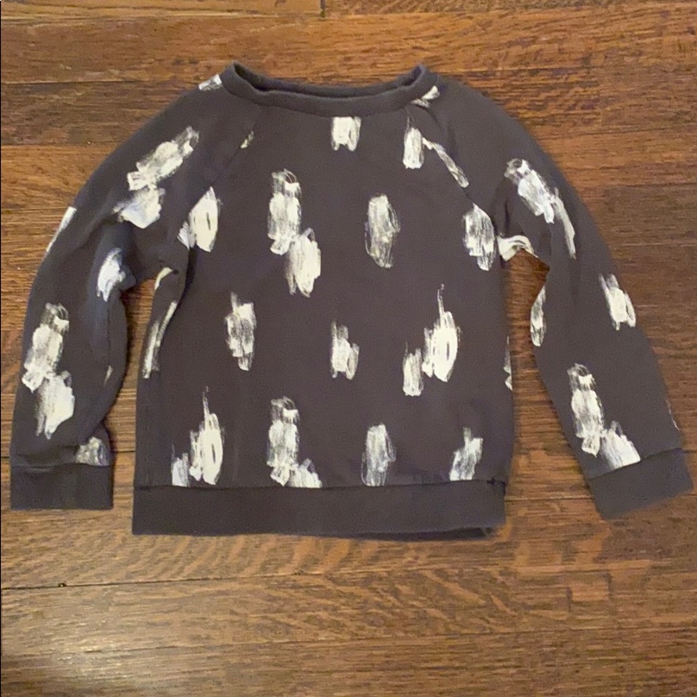 COPY - CAT & JACK raglan sweatshirt 5T